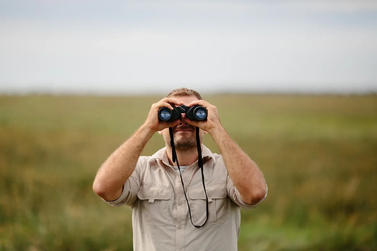 A Beginner's Guide to Using a Field Guide and Recording Your Bird Sightings